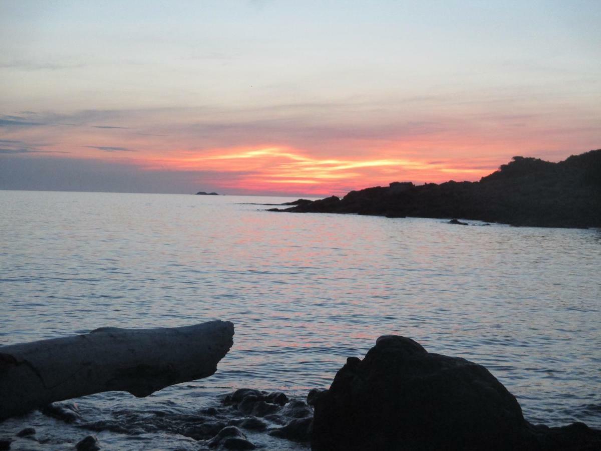 Chambre D'Hotes A 5Mn Des Plages Homestay Patrimonio
